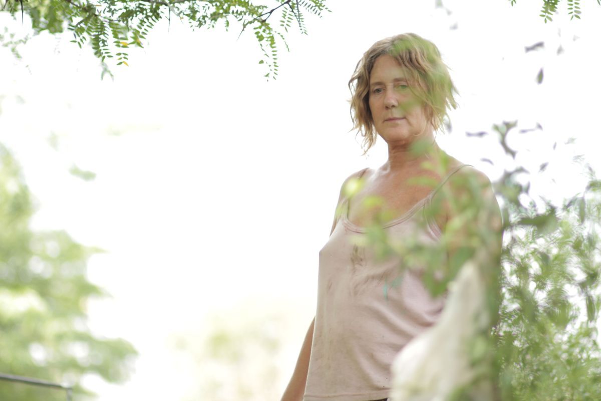 Contar presenta una selección de películas de El Pampero Cine