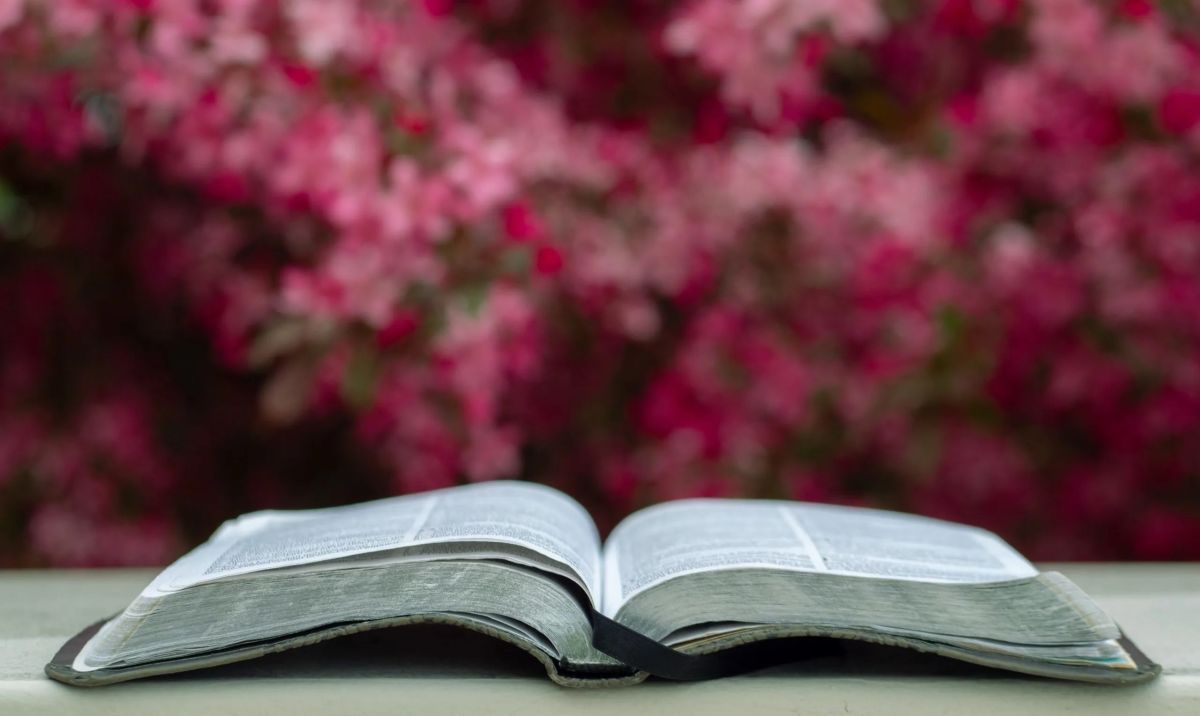 Cuatro libros para leer en primavera