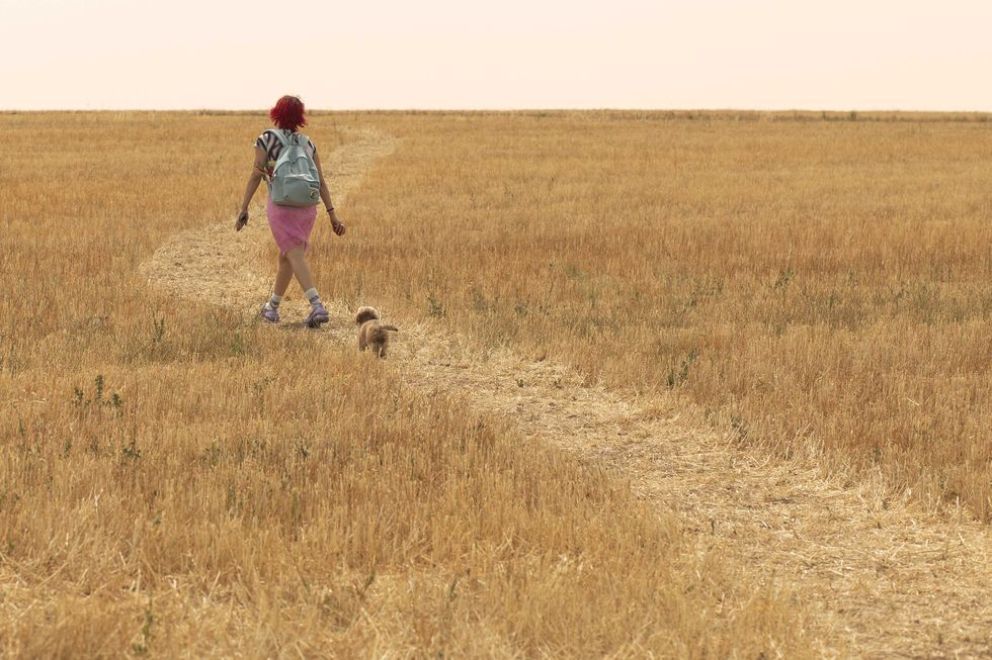 Cítica de "Rainbow", Paco León y el fracaso menos esperado del año