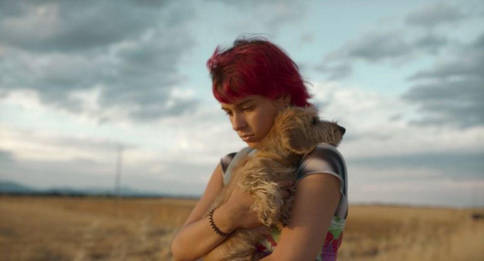 Cítica de "Rainbow", Paco León y el fracaso menos esperado del año