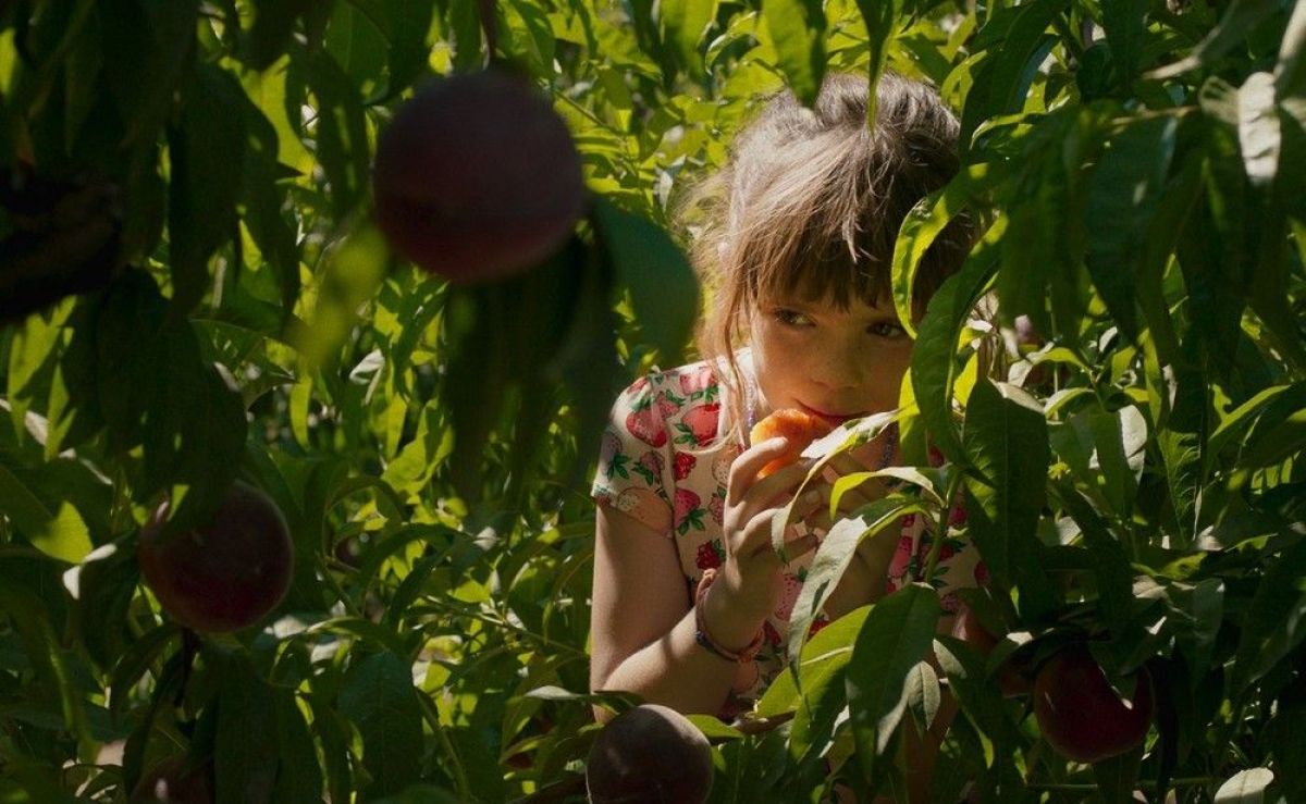 Crítica de "Alcarrás", un segundo último verano para Carla Simón
