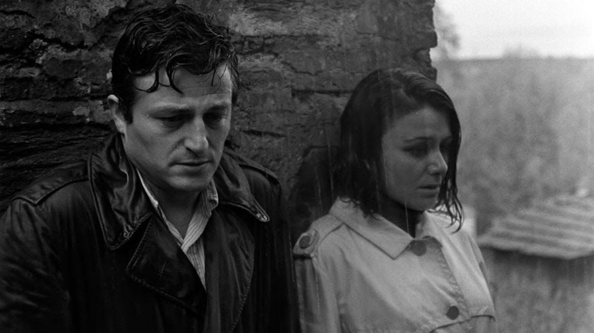 Todos los estrenos de MUBI para noviembre