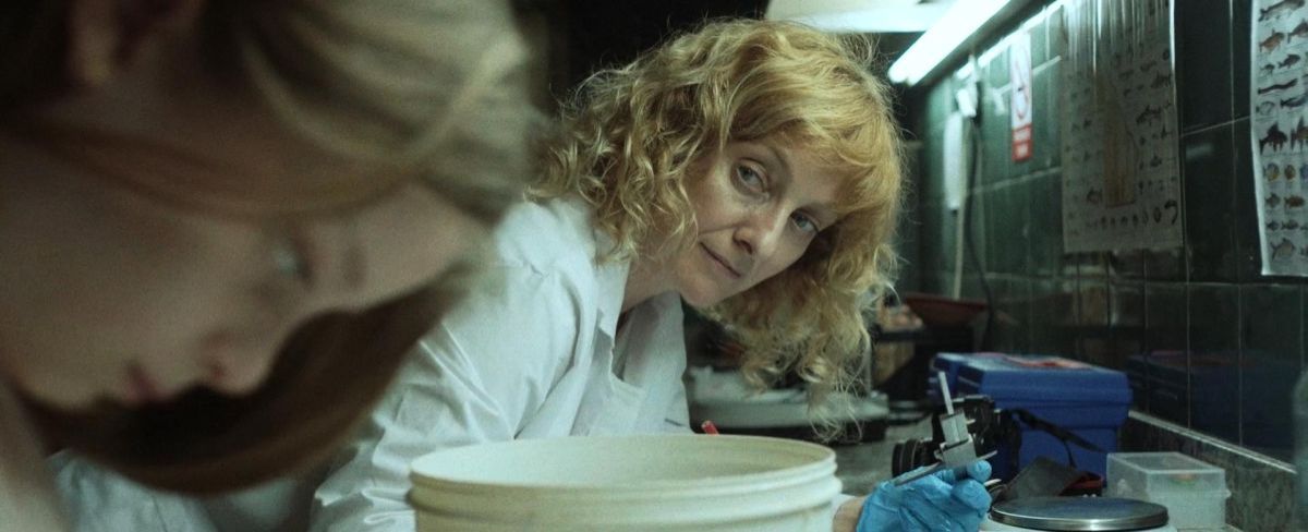 Crítica de "Una escuela en Cerro Hueso", un delicado relato sobre la infancia autista