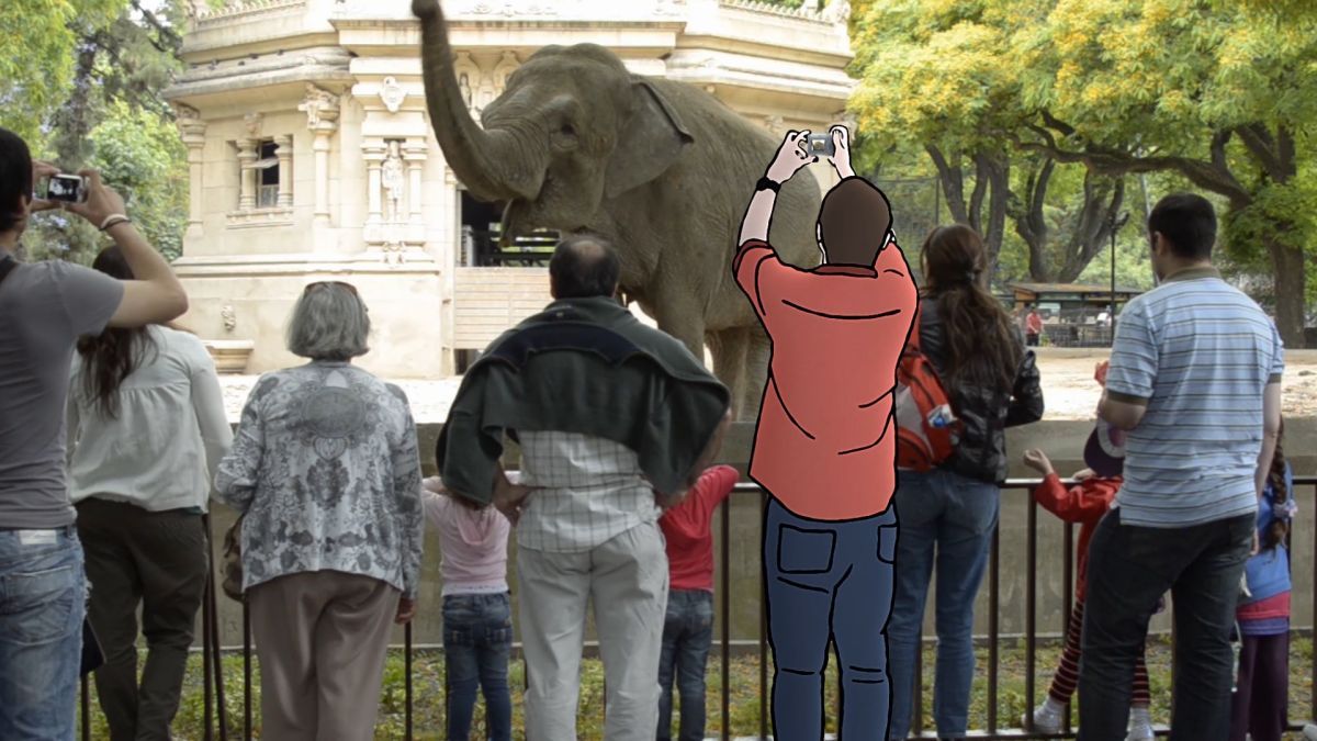 Crítica de "Zoofobia", una película sobre los zoológicos de Pablo Chehebar y Nicolás Iacouzzi