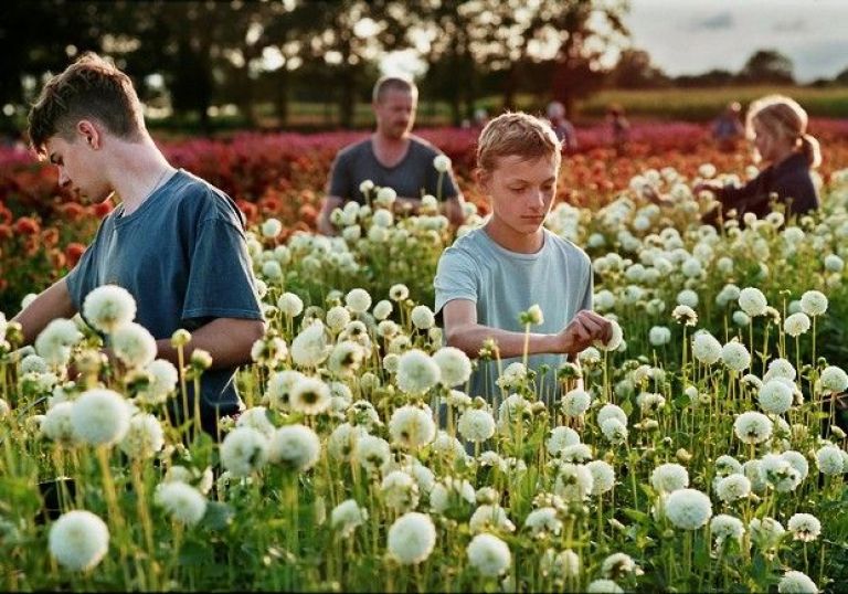 Todos los nominados a los European Film Awards 2022