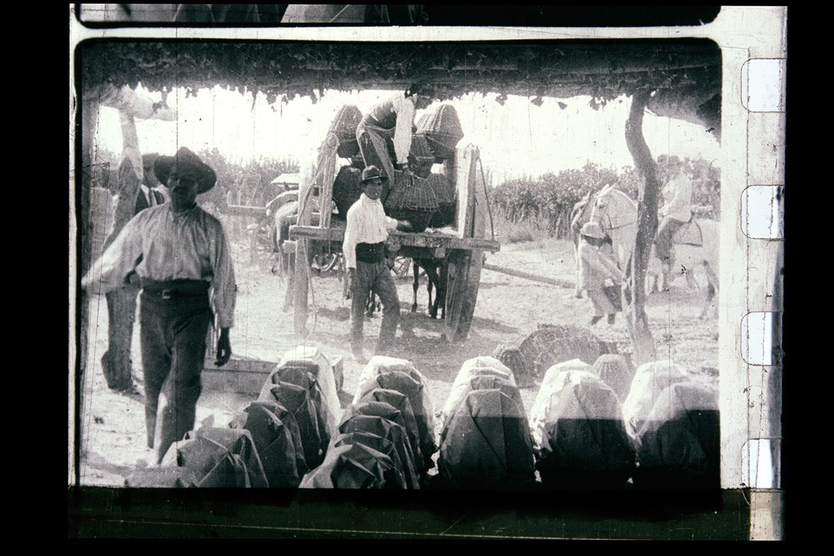 Presentación del libro "Por las naciones de América: El cine documental silente de Renée Oro" con proyección y música en vivo