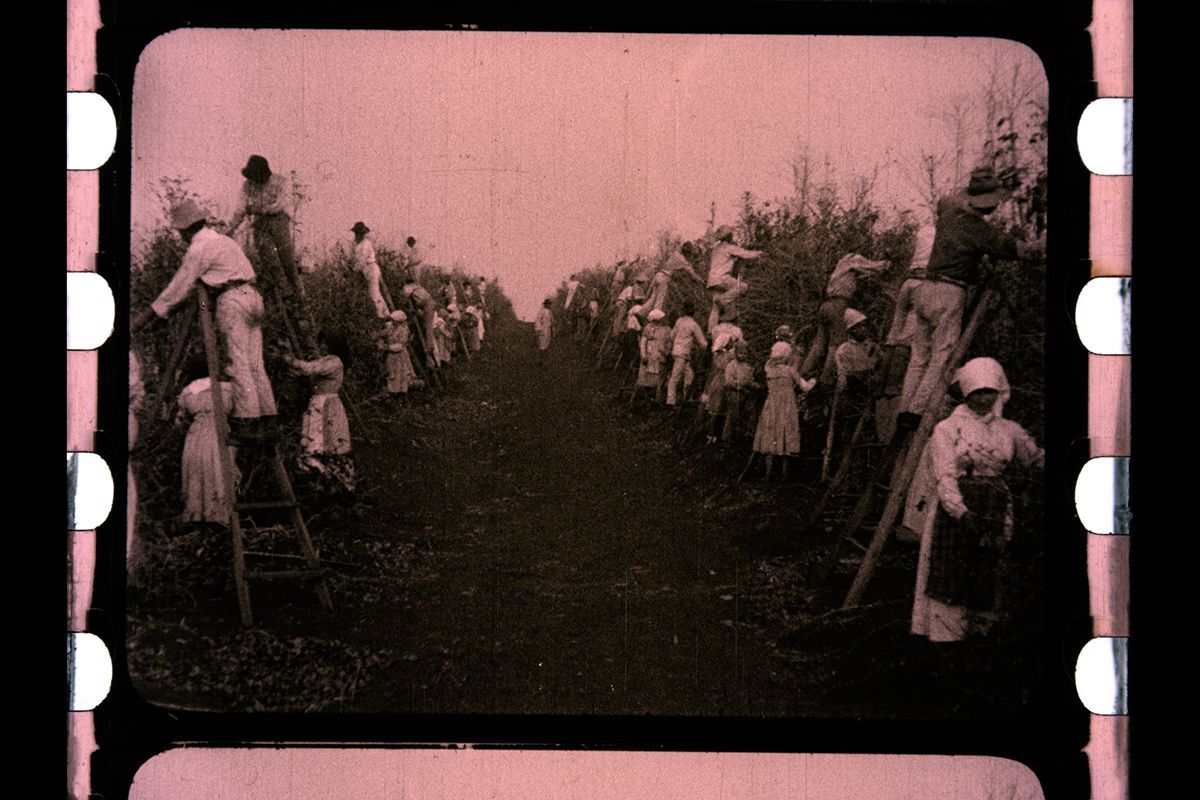 Presentación del libro "Por las naciones de América: El cine documental silente de Renée Oro" con proyección y música en vivo