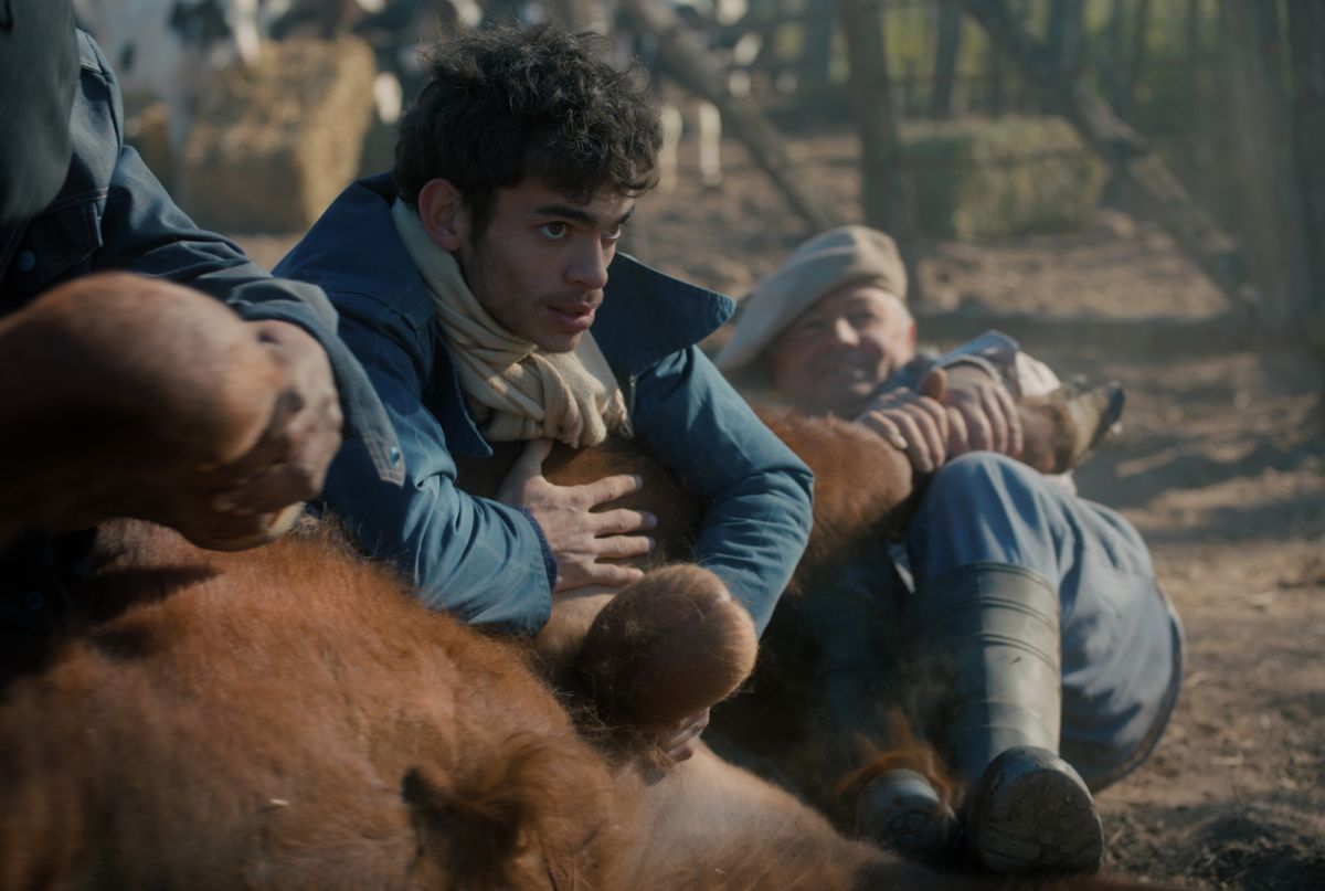 Crítica de "Matadero", Santiago Fillol pone en imágenes la obra de Esteban Echeverría