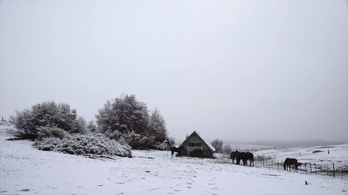 Toda la programación del 10 FIDBA