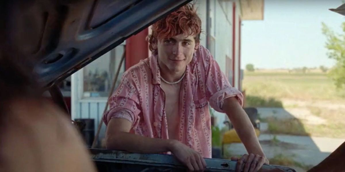 Crítica de "Hasta los huesos", un Guadagnino más feroz que nunca