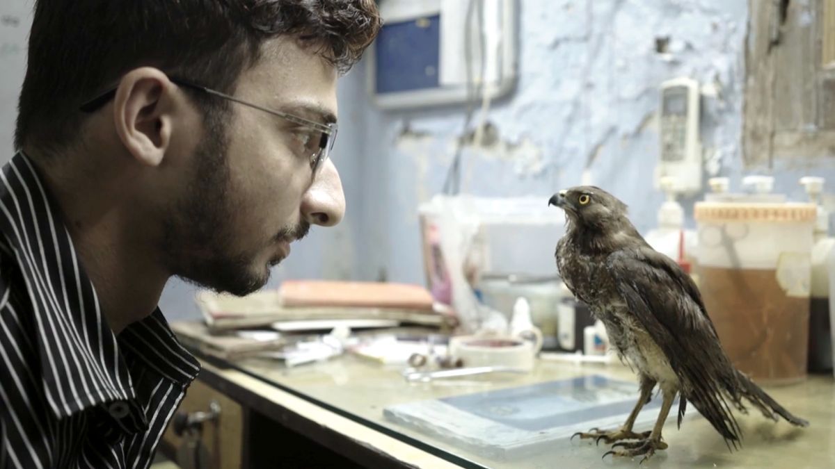 Todos los ganadores de los premios IDA 2022 de la  International Documentary Association