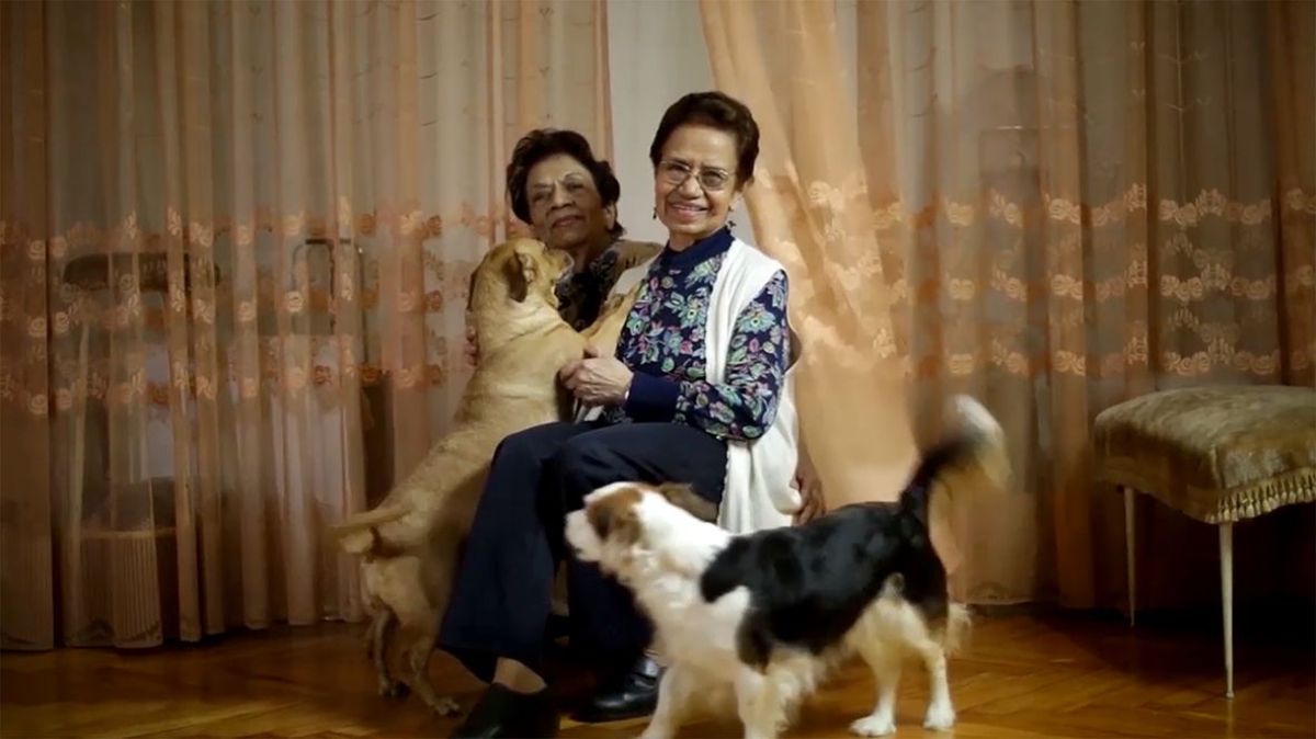 Anuncian la programación de MIRAR en Mar del Sur, muestra de cine argentino