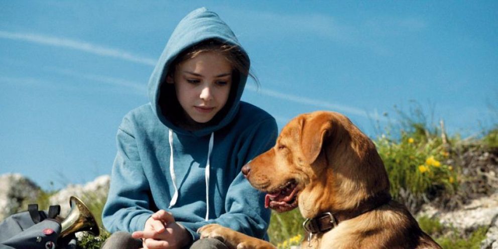 Crítica de “Dios Blanco”, una fábula húngara con apocalipsis canino