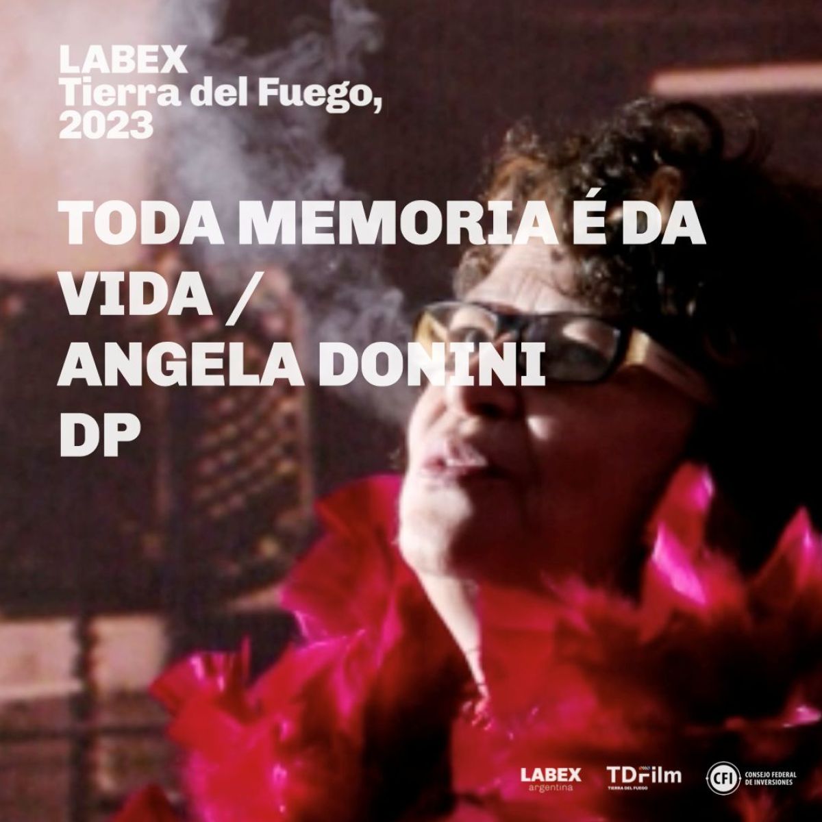 LABEX Tierra del Fuego 2023 anunció los proyectos seleccionados