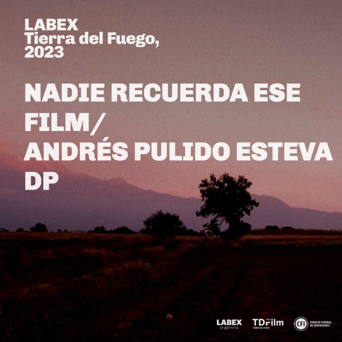 LABEX Tierra del Fuego 2023 anunció los proyectos seleccionados