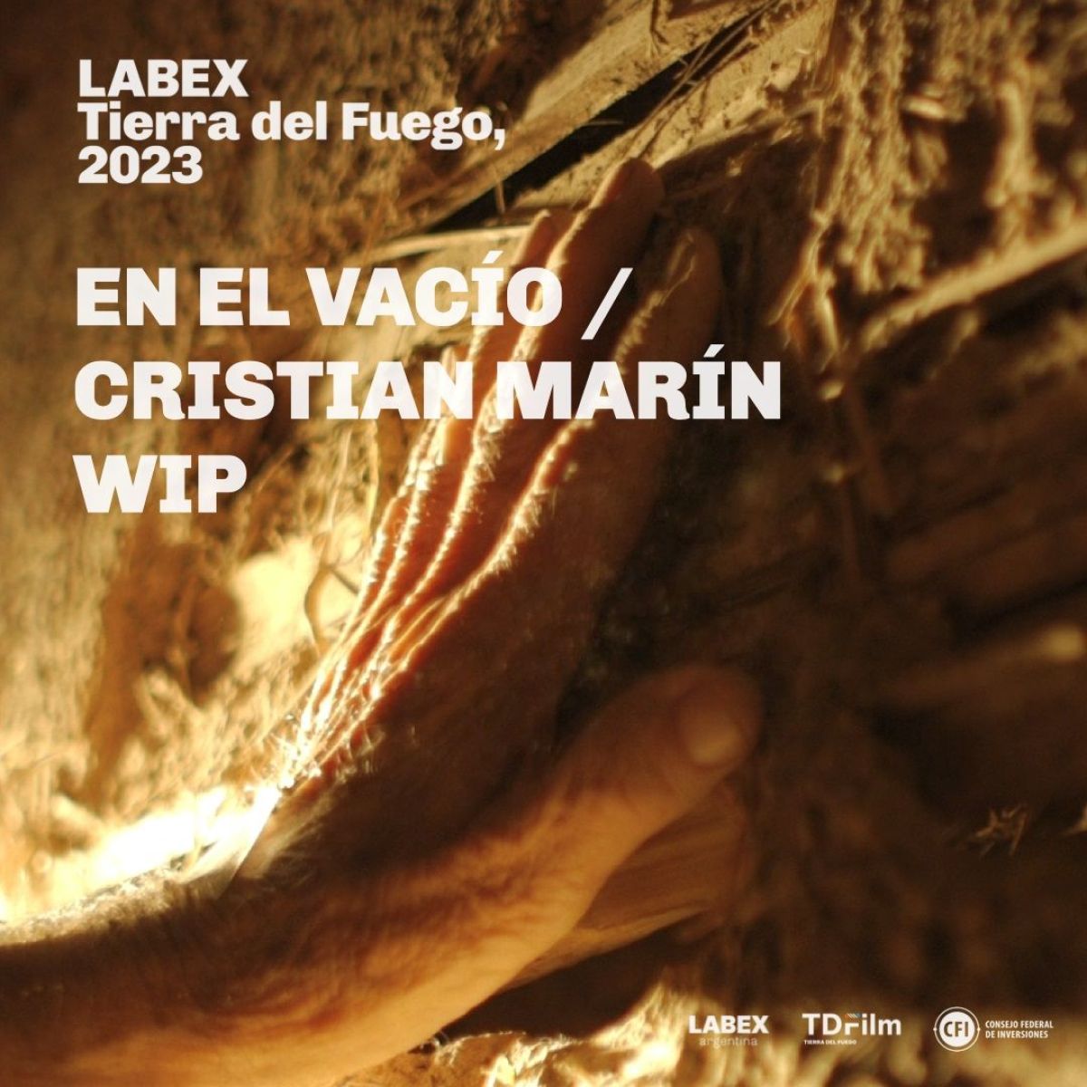 LABEX Tierra del Fuego 2023 anunció los proyectos seleccionados