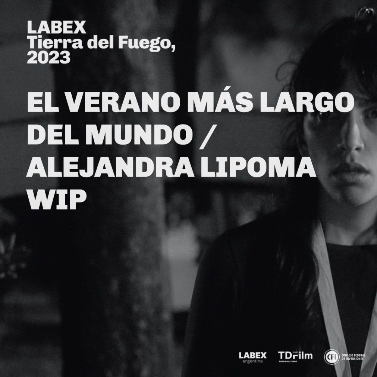 LABEX Tierra del Fuego 2023 anunció los proyectos seleccionados