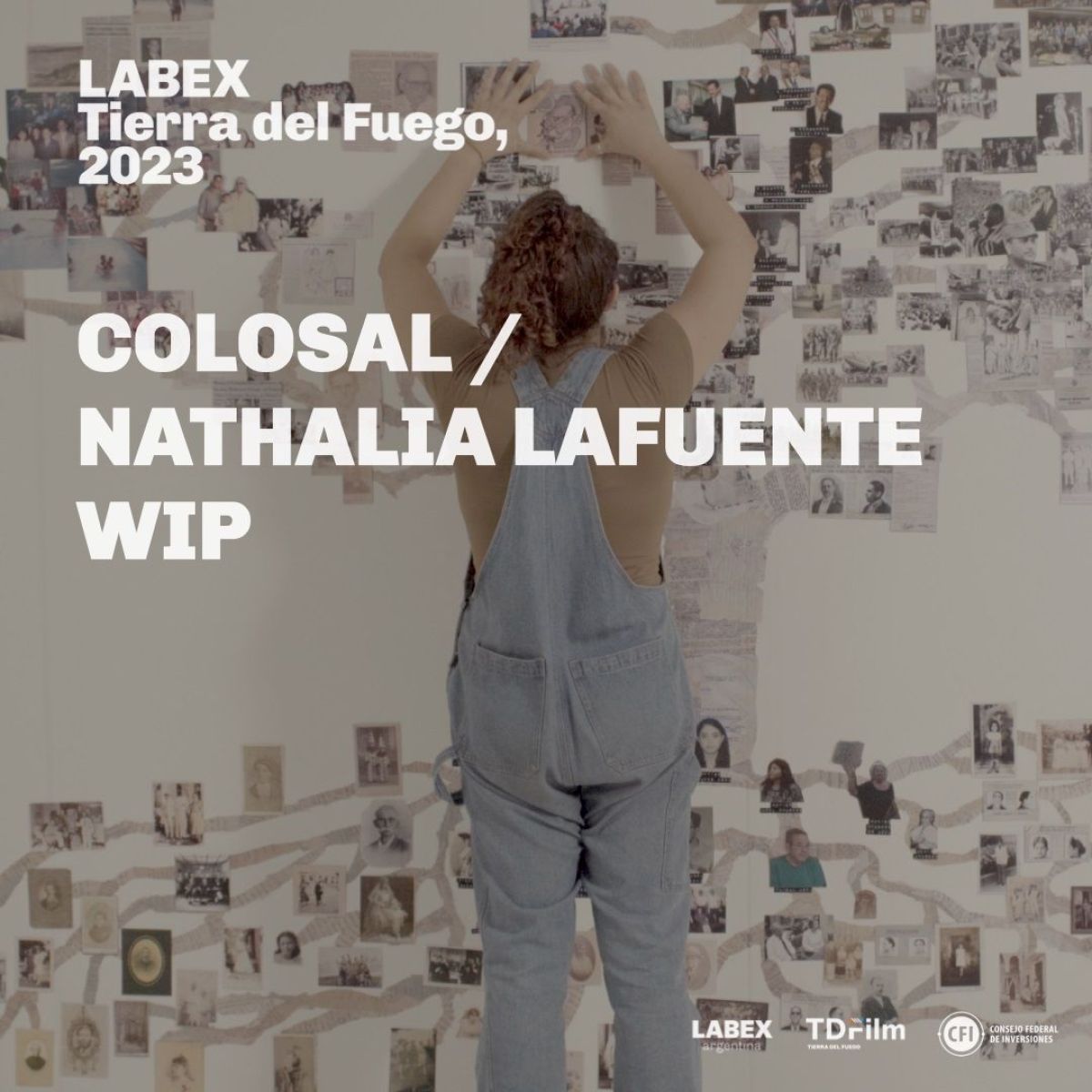 LABEX Tierra del Fuego 2023 anunció los proyectos seleccionados