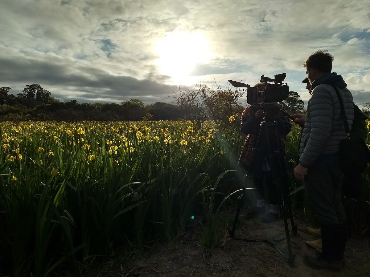 El Instituto Cultural anuncia los ganadores de la convocatoria “Fomento al Desarrollo de proyectos Audiovisuales” 