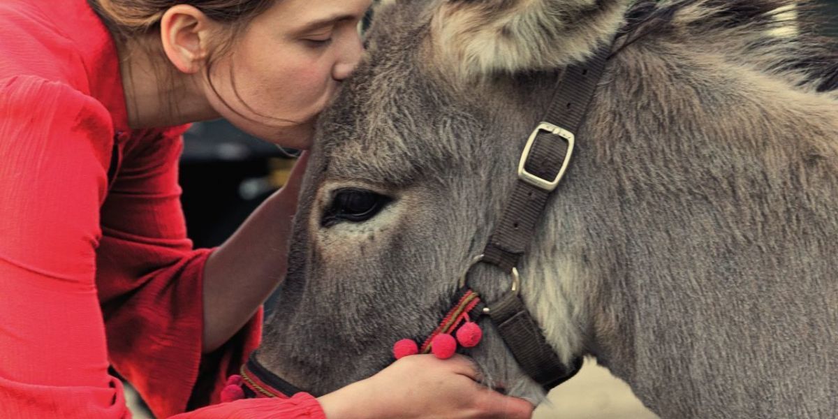 Crítica de “EO”, la experimental película del burro nominada al Oscar