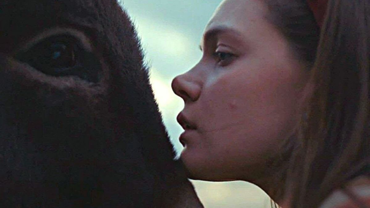 Crítica de “EO”, la experimental película del burro nominada al Oscar