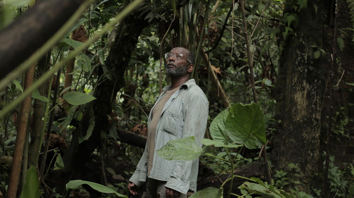 Toda la selección de Cine en Construcción 42