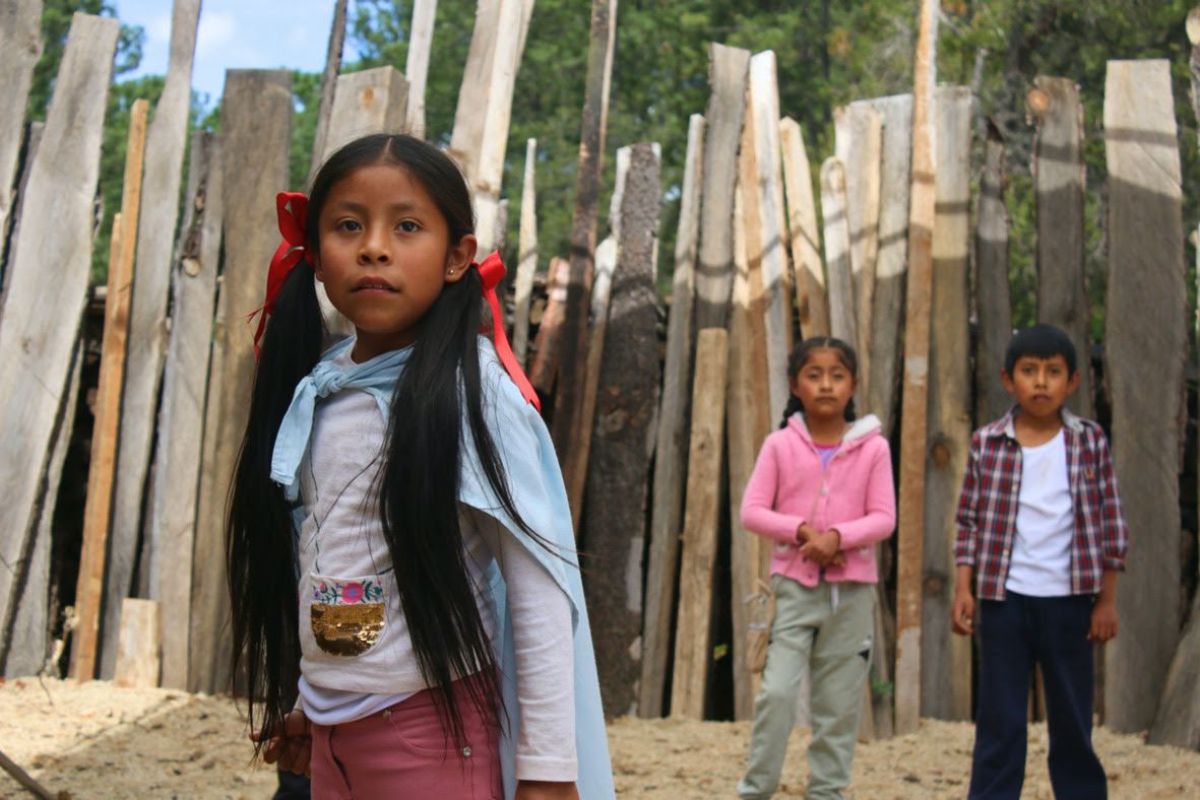 Toda la selección de Cine en Construcción 42