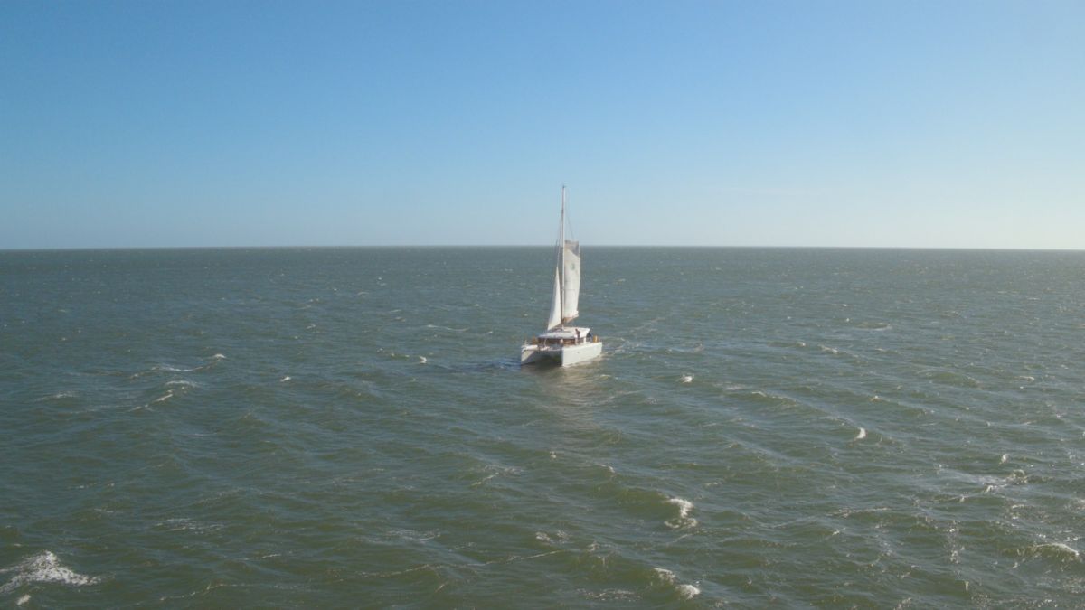 Crítica de “Asfixiados”, Leonardo Sbaraglia y Julieta Díaz en una película que naufraga