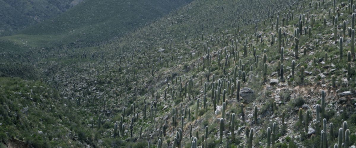 Crítica de "Entrecerros", el desarraigo cultural según Leonardo Cauteruccio