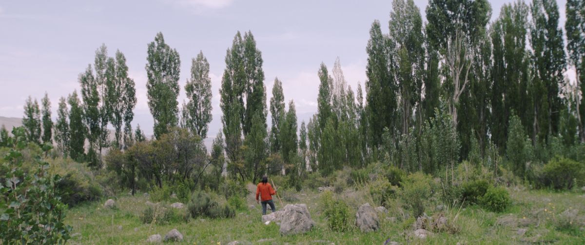 Crítica de "Entrecerros", el desarraigo cultural según Leonardo Cauteruccio