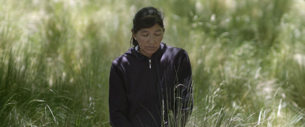 Crítica de "Entrecerros", el desarraigo cultural según Leonardo Cauteruccio