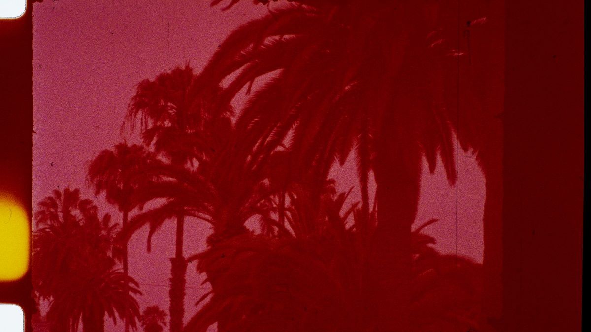 Crítica de "Diarios del encierro", Jeff Zorrilla y la pandemia