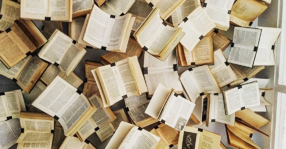Siete historias imperdibles entre las últimas novedades editoriales