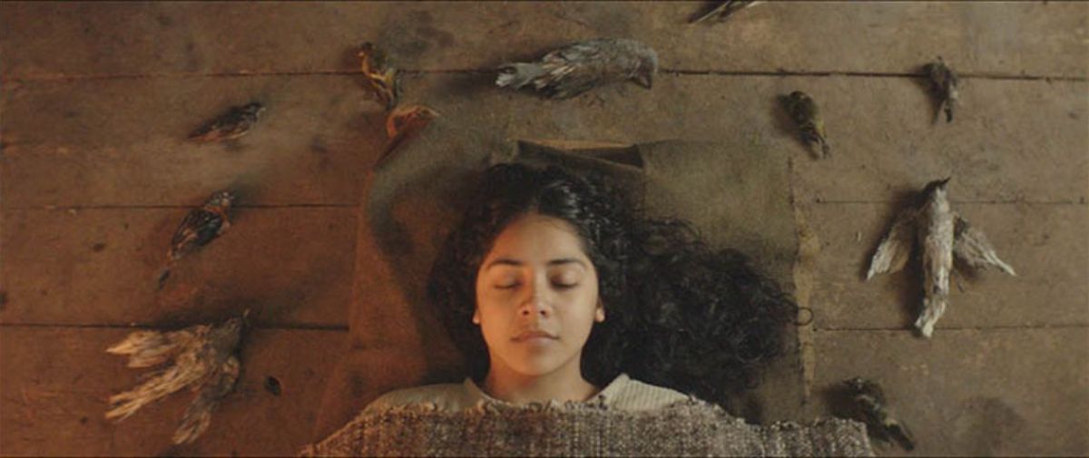 Todos los ganadores del 35 Festival Cinélatino Rencontres de Toulouse 