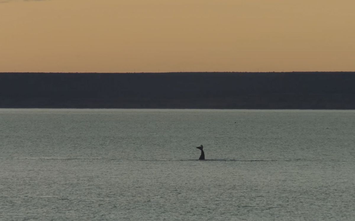 Crítica de "Reparo", un lugar en el mundo para Florencia Torrente
