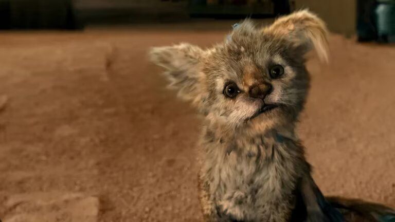 Crítica de "Chupa", Jonás Cuarón y una fallida historia sobre la leyenda del chupacabras