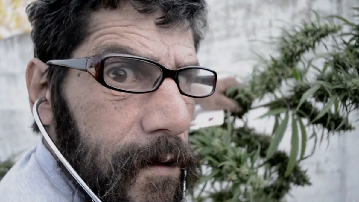 Contar presenta la muestra especial "Cine & Cannabis"
