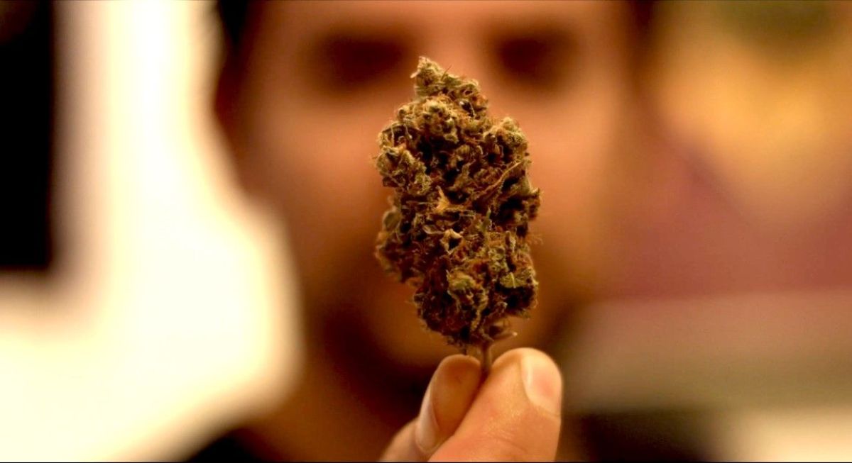 Contar presenta la muestra especial "Cine & Cannabis"