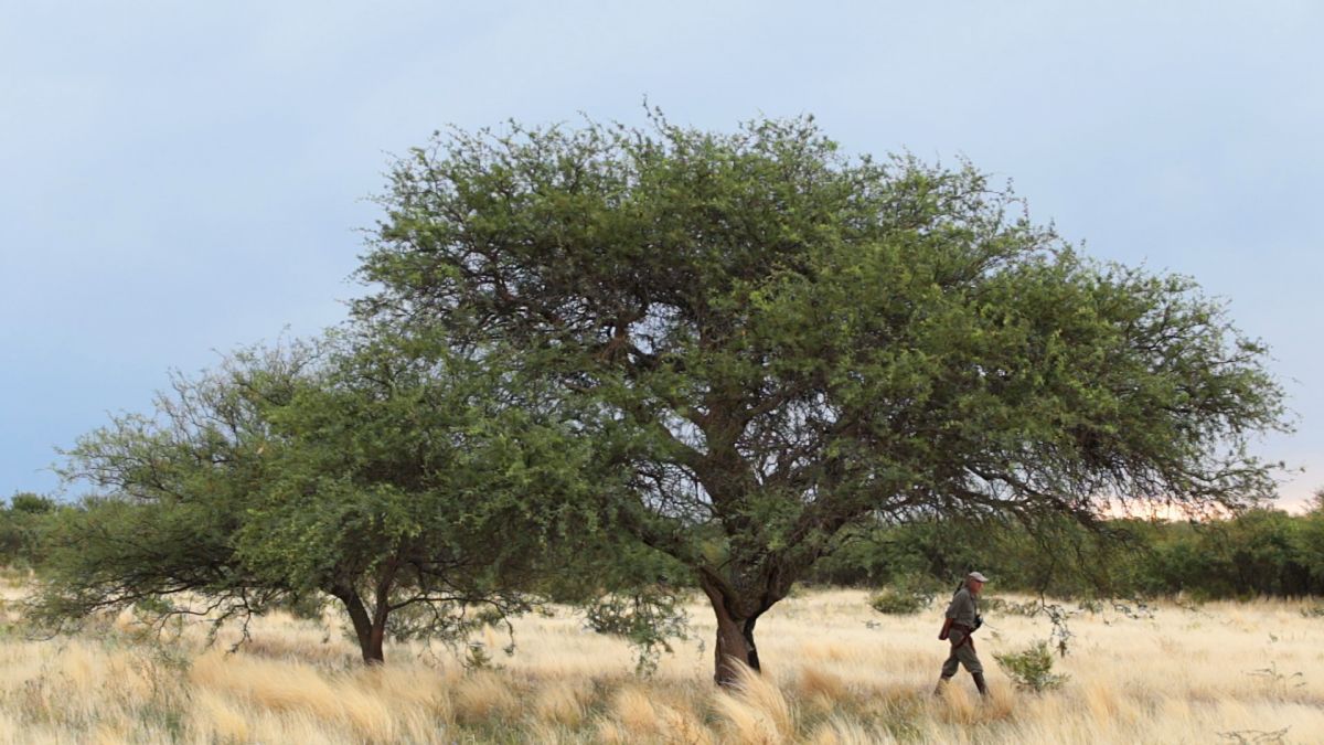 Crítica de "La espera", Ingrid Valencic y Celeste Contratti retratan la rutina solitaria de un cazador