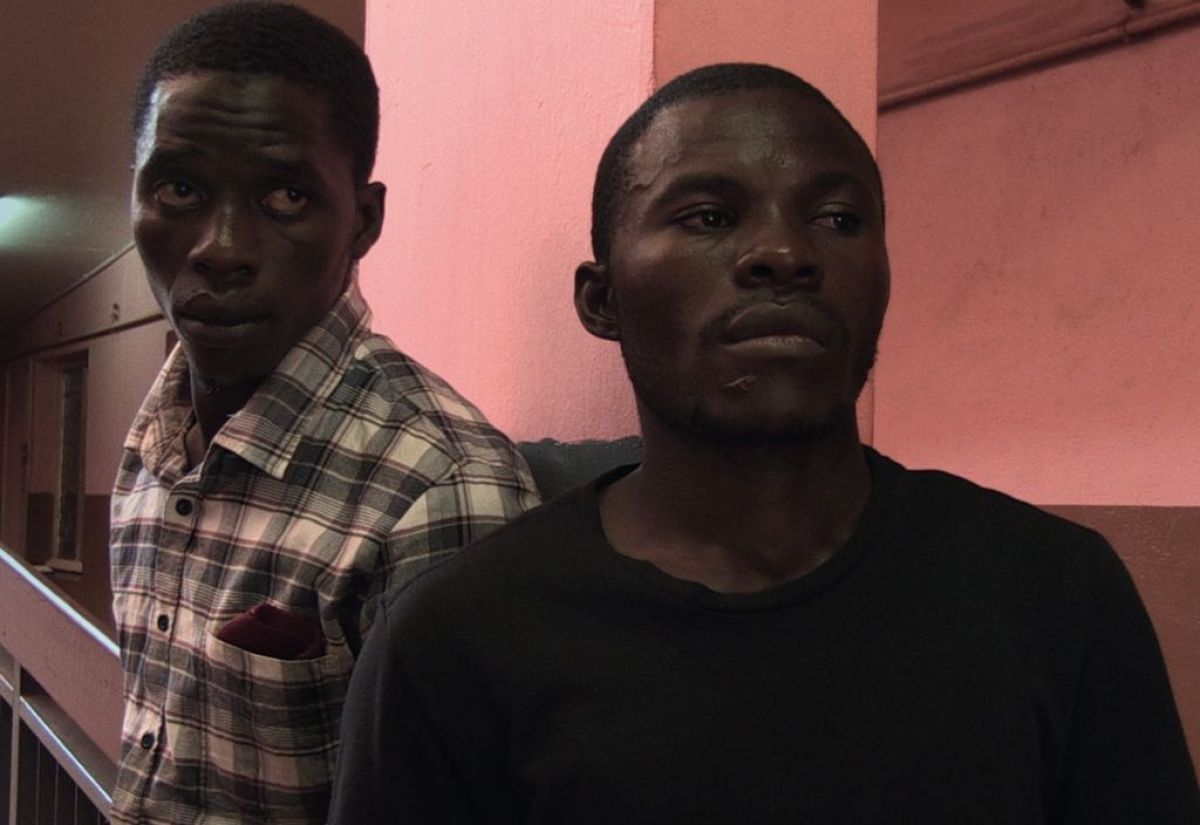 Toda la programación del 6 Festival Internacional de Cine Independiente de El Palomar (EPA CINE) 