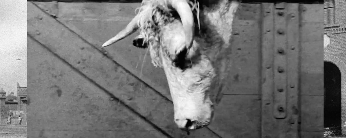 Crítica de "Tres Cinematecas", Nicolás Suárez y la preservación audiovisual