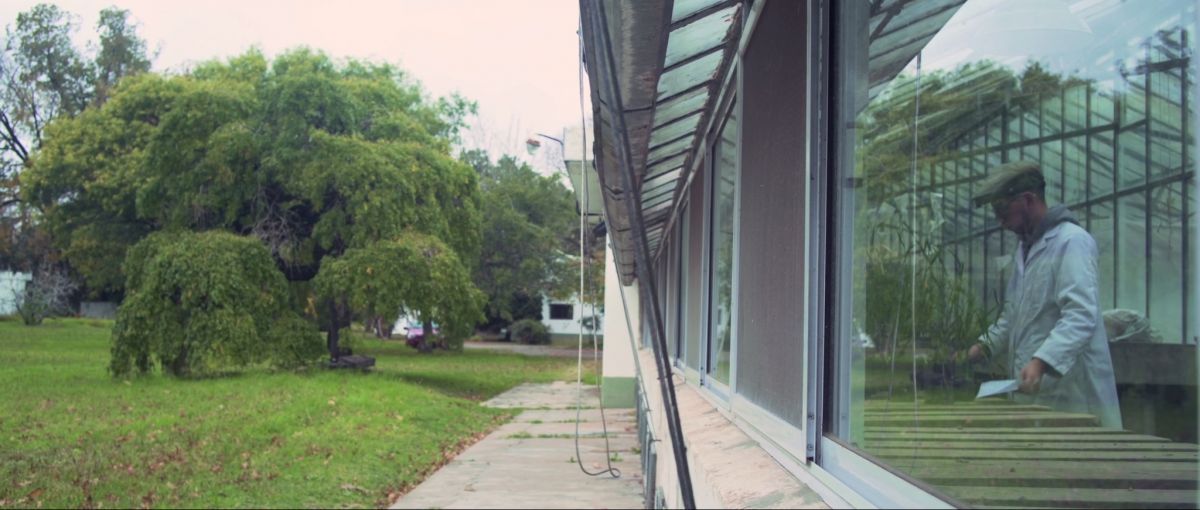 Crítica de "Cannabis Medicinal", un documental sobre el ámbito médico y químico de la salud