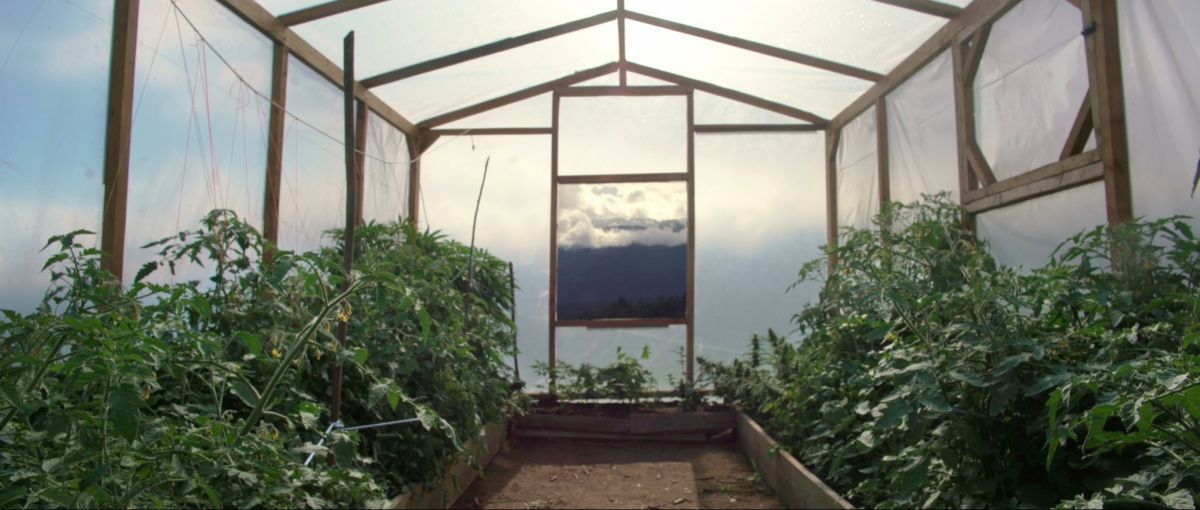 Crítica de "Cannabis Medicinal", un documental sobre el ámbito médico y químico de la salud