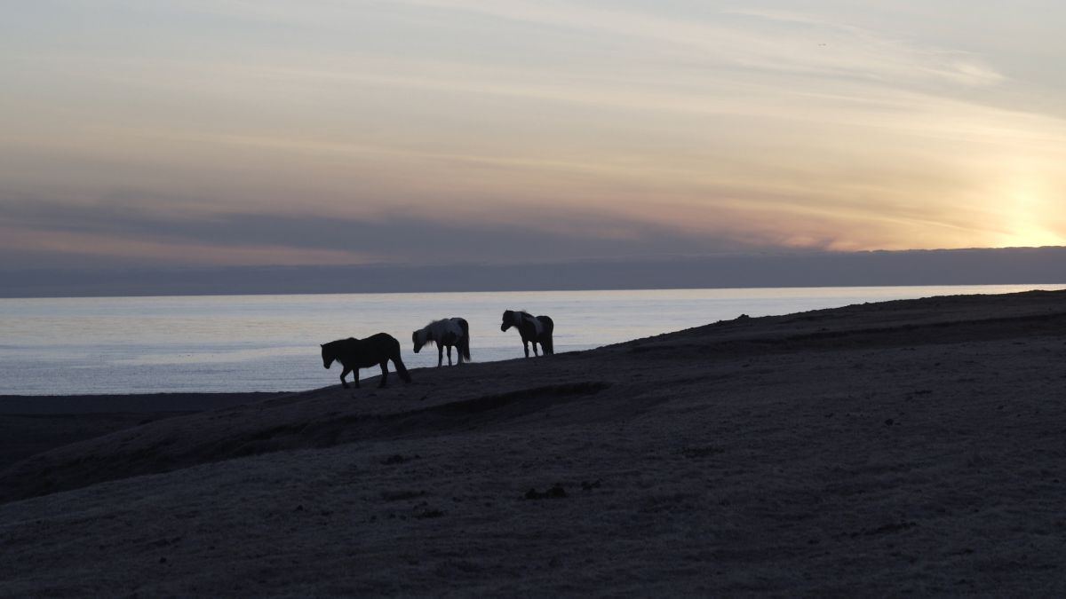Crítica de “Errante”, Adriana Lestido en un viaje de texturas por el Círculo Polar Ártico